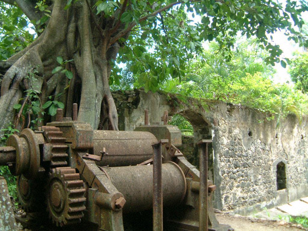 Balenbouche Estate Βίλα Laborie Εξωτερικό φωτογραφία